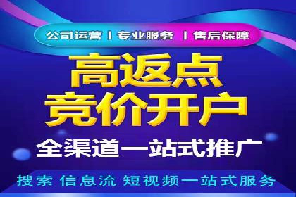 提升关键词竞价排名效果：企业成功案例剖析